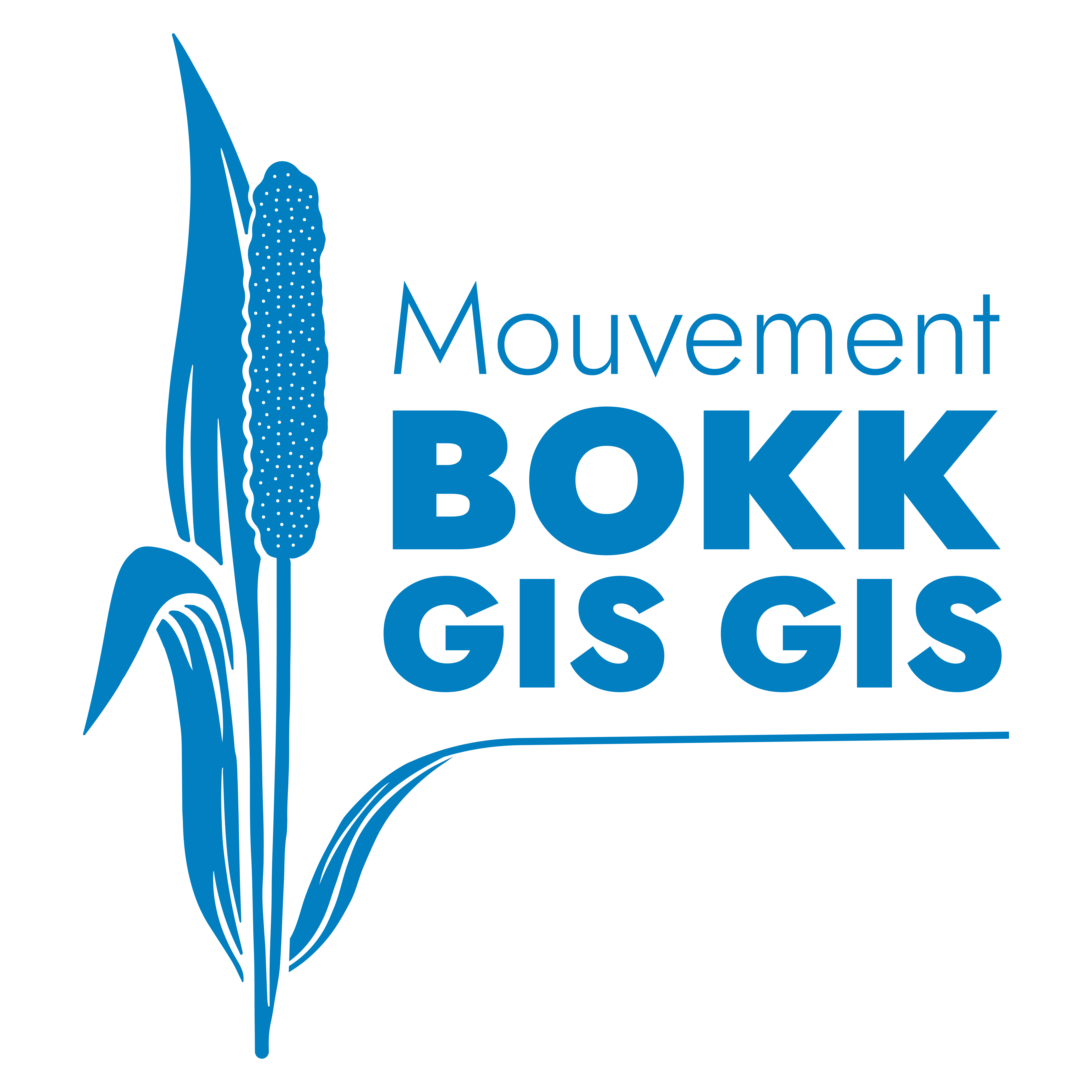 bokk-gis-gis-logo